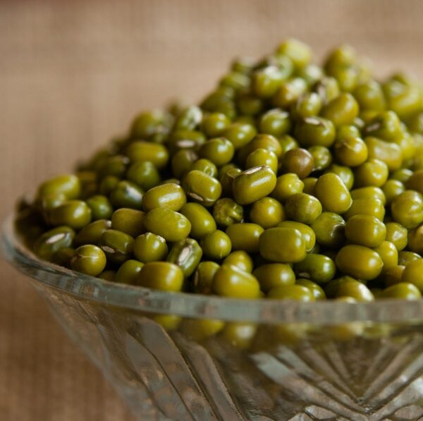 mung beans, moong beans, green gram-390724.jpg